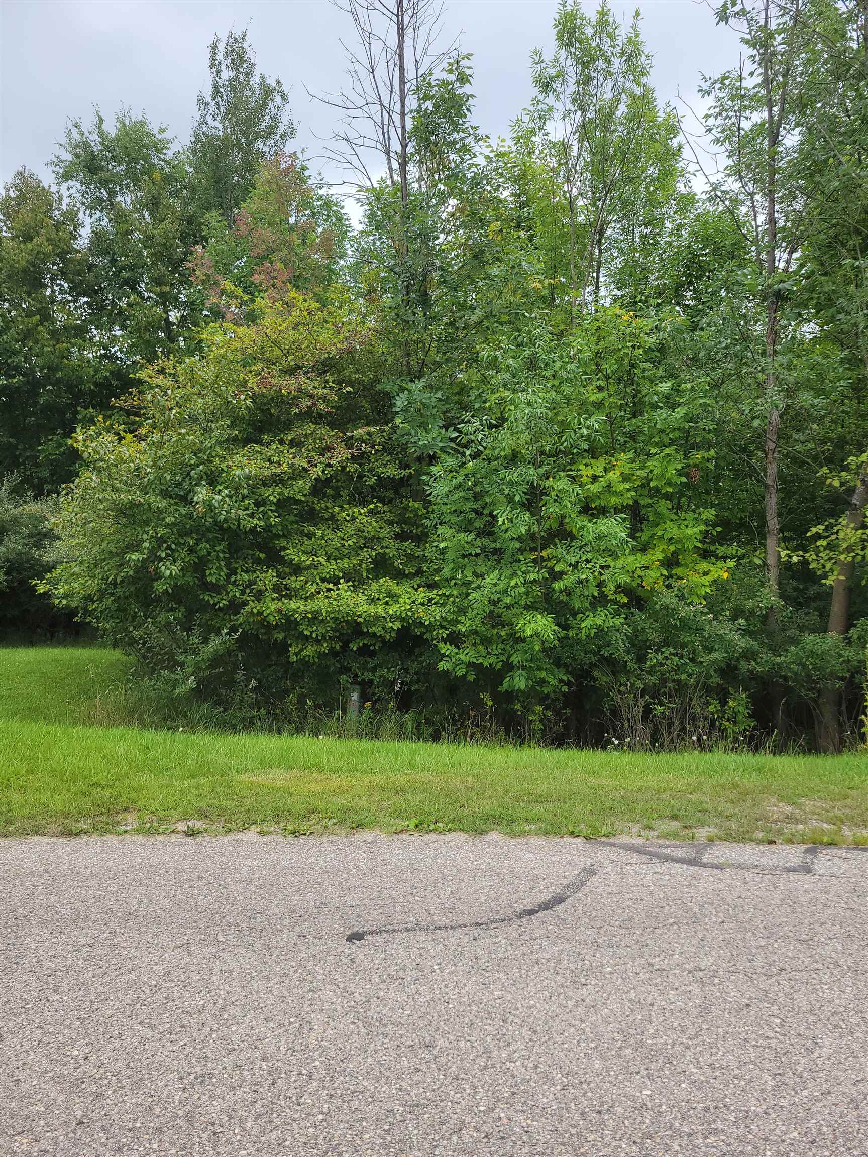 60-61 Huntington Circle Road Gladwin, MI 48624 - Photo 6 of 8