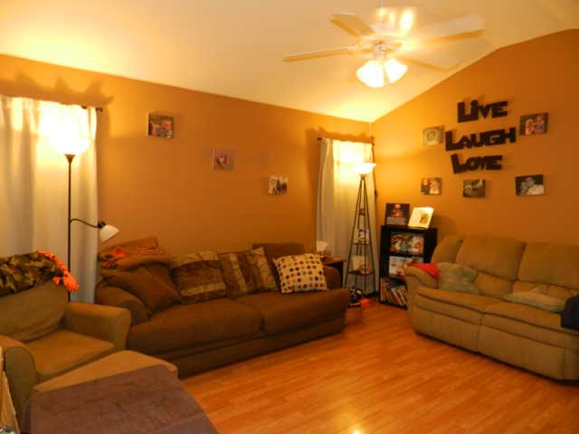 1515 Rochester Drive Murfreesboro, TN 37130 - Photo 4 of 9 Spacious living room with cathedral ceiling