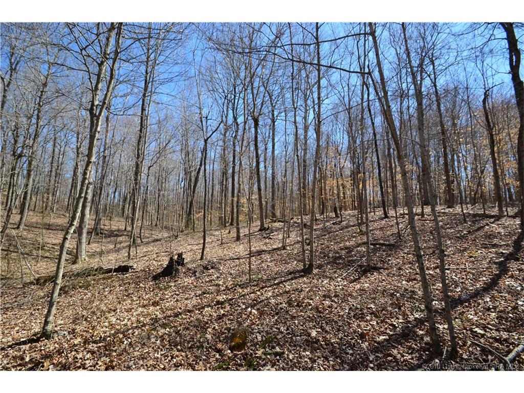Pumping Station Road Elizabeth, IN 47117 - Photo 10 of 11 Gallery Image 10