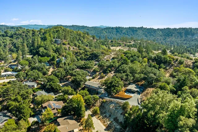 a view of a lush green field with lots of bushes