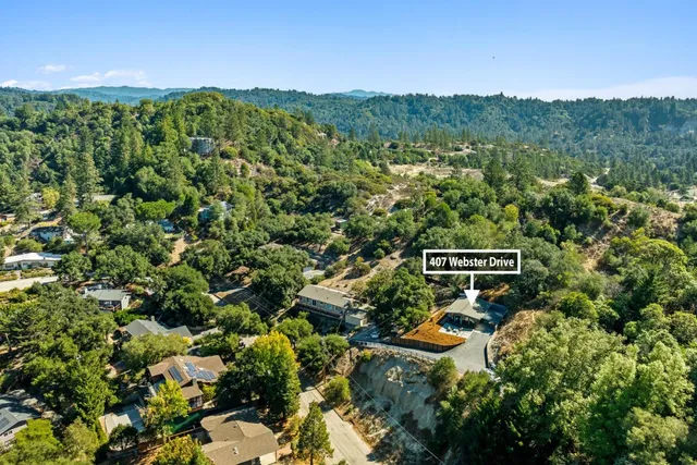 a view of a city with lush green forest