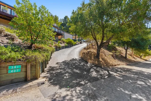 a view of a yard with plants and trees