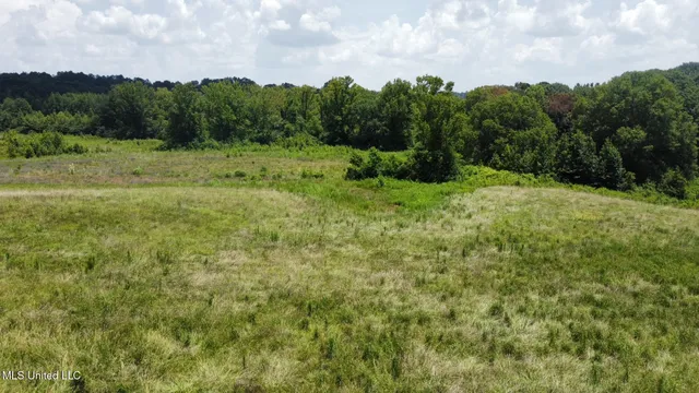 $68,000 | 2 County Road 347, Philadelphia, MS 39350