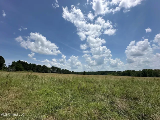 $68,000 | 2 County Road 347, Philadelphia, MS 39350