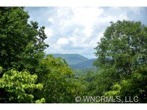 4491 Cove Loop Road Hendersonville, NC 28739 - Photo 2 of 18 Gallery Image 2
