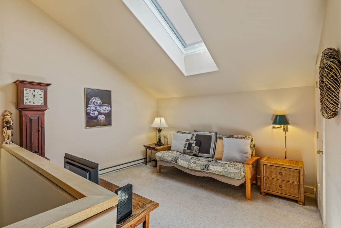 1724 Ski Time Square Drive, Unit R5 Steamboat Springs, CO 80487 - Photo 15 of 19 Carpeted living area with a skylight, vaulted ceiling, and a baseboard heating unit