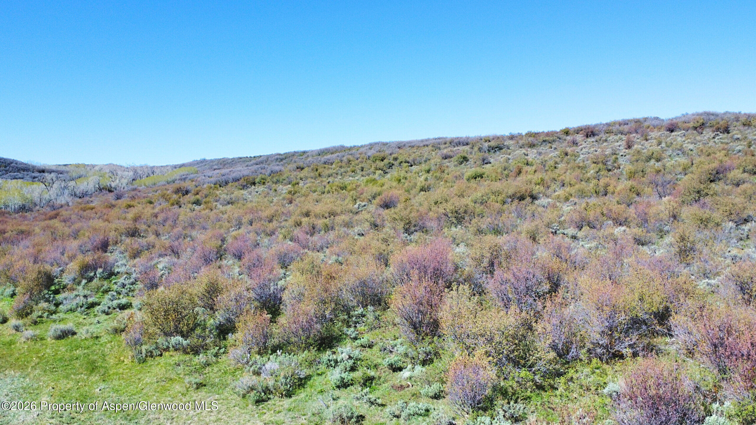 799 Slater Way Road Craig, CO 81625 - Photo 25 of 28 MWR25