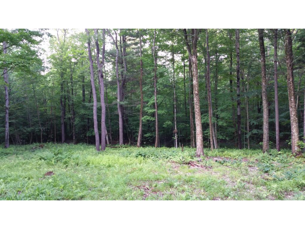 0 Branch Hill Road Readsboro, VT 05350 - Photo 5 of 18