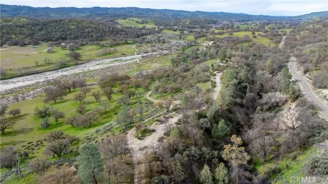 a view of a lush green forest with lots of trees