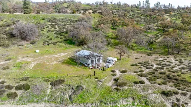 a aerial view of a yard with trees