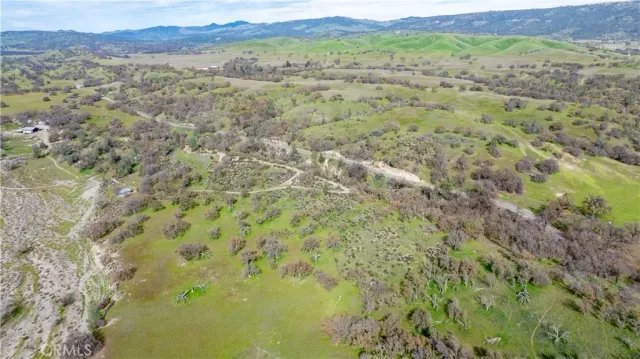 a view of a lush green field with trees in the background