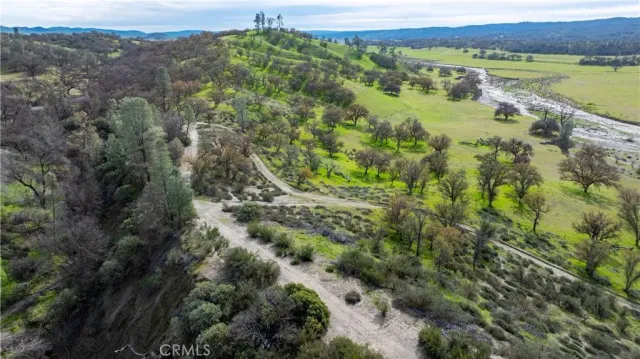 a view of a lush green forest with lots of trees