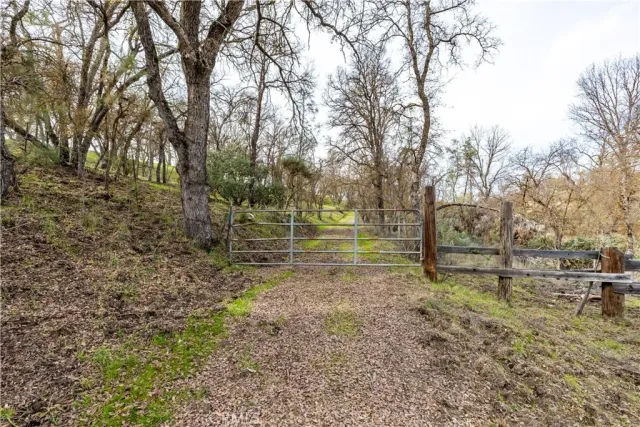 a view of a yard with large trees