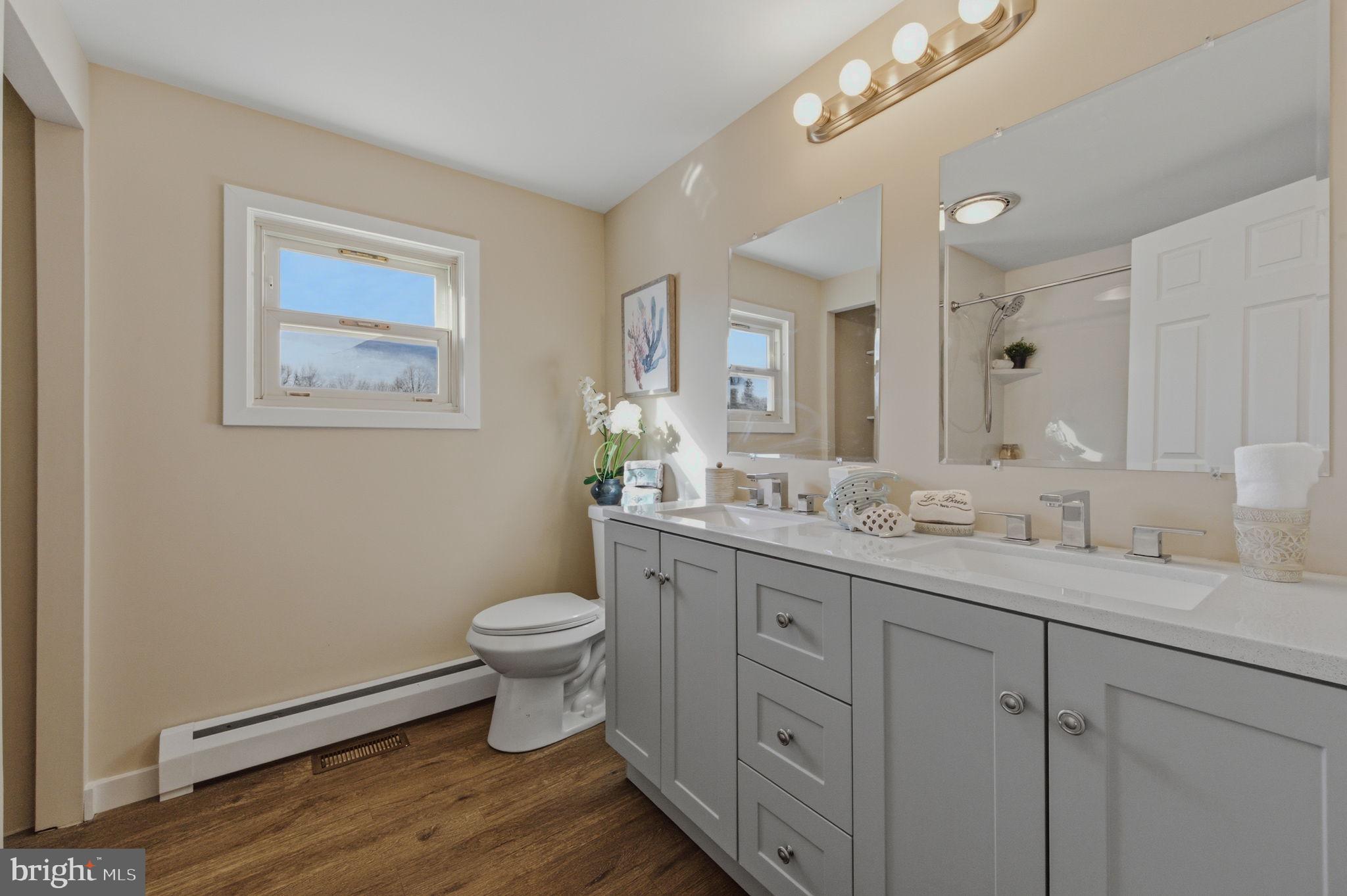 946 Vandyke Greenspring Road Townsend, DE 19734 - Photo 17 of 32 a bathroom with a granite countertop toilet sink and a mirror