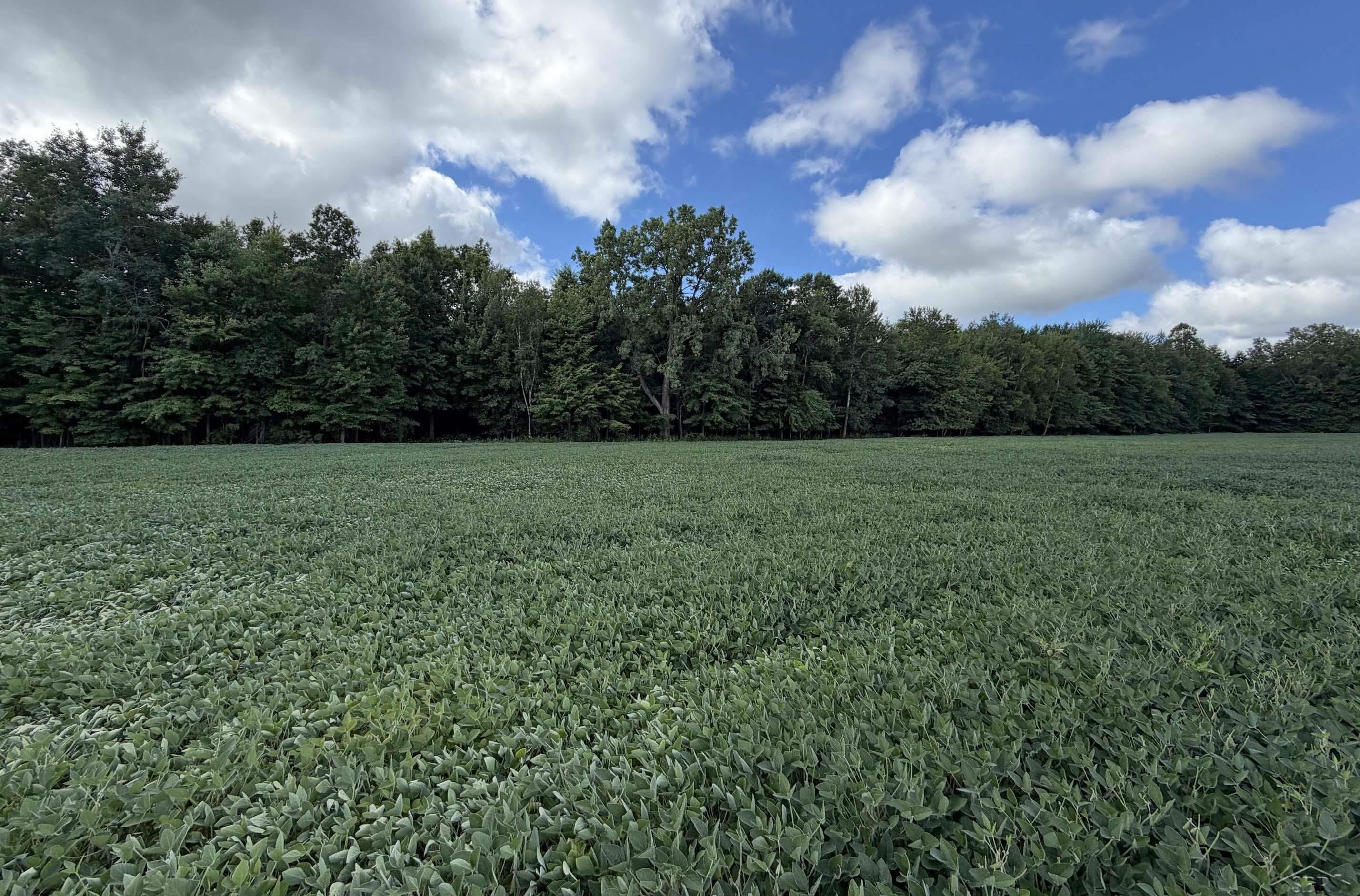 9020 South Raucholz Road St. Charles, MI 48655 - Photo 22 of 25 Gallery Image 22