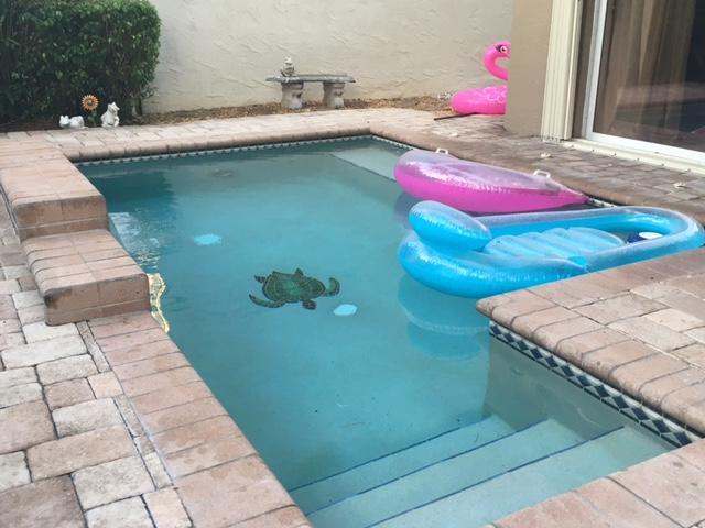 23351 Sunview Way Boca Raton, FL 33428 - Photo 31 of 37 pool