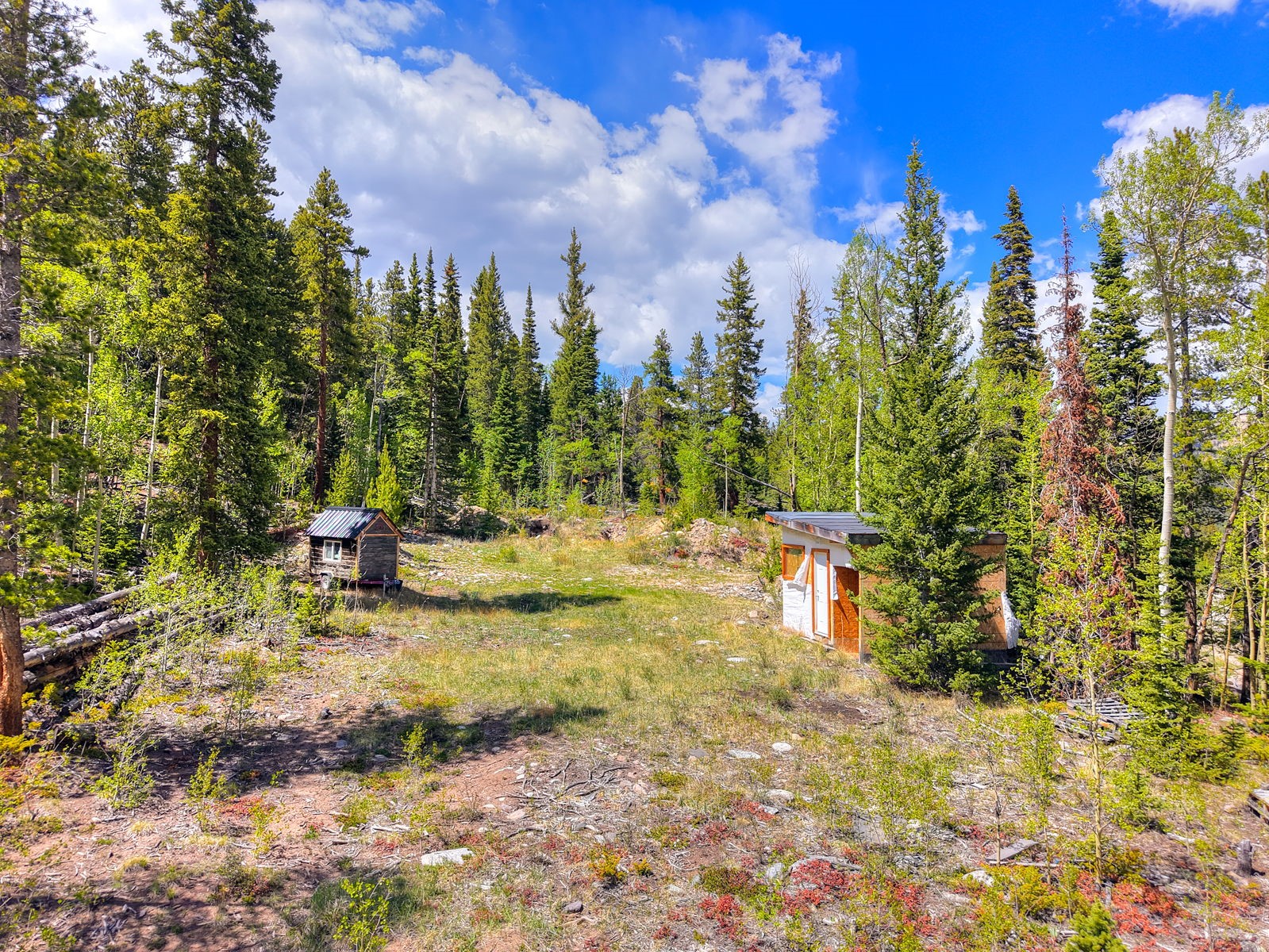 253 Mine Dump Road Alma, CO 80420 - Photo 4 of 13