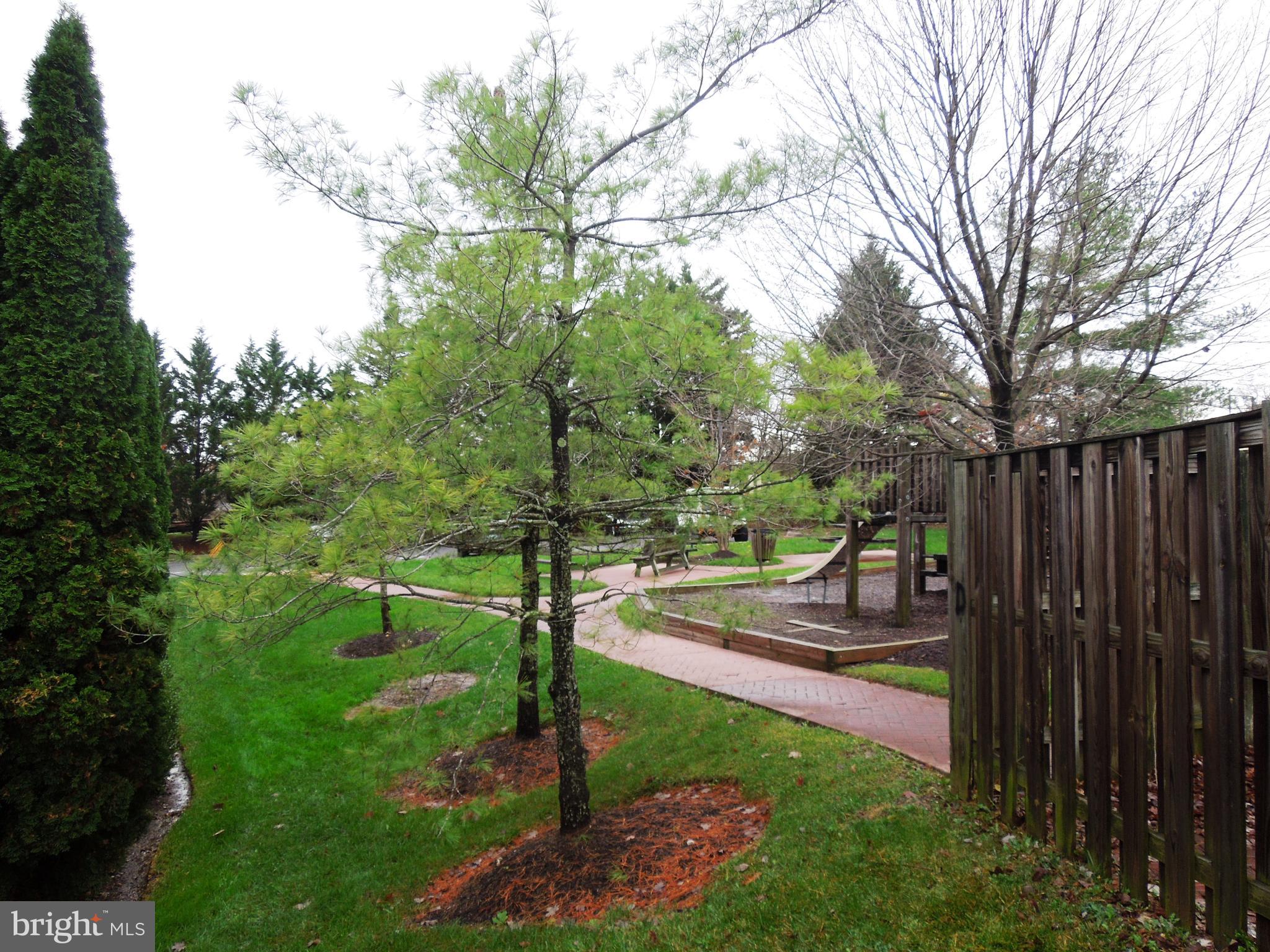 10109 Ridge Manor Terrace, Unit 4000F Damascus, MD 20872 - Photo 29 of 29