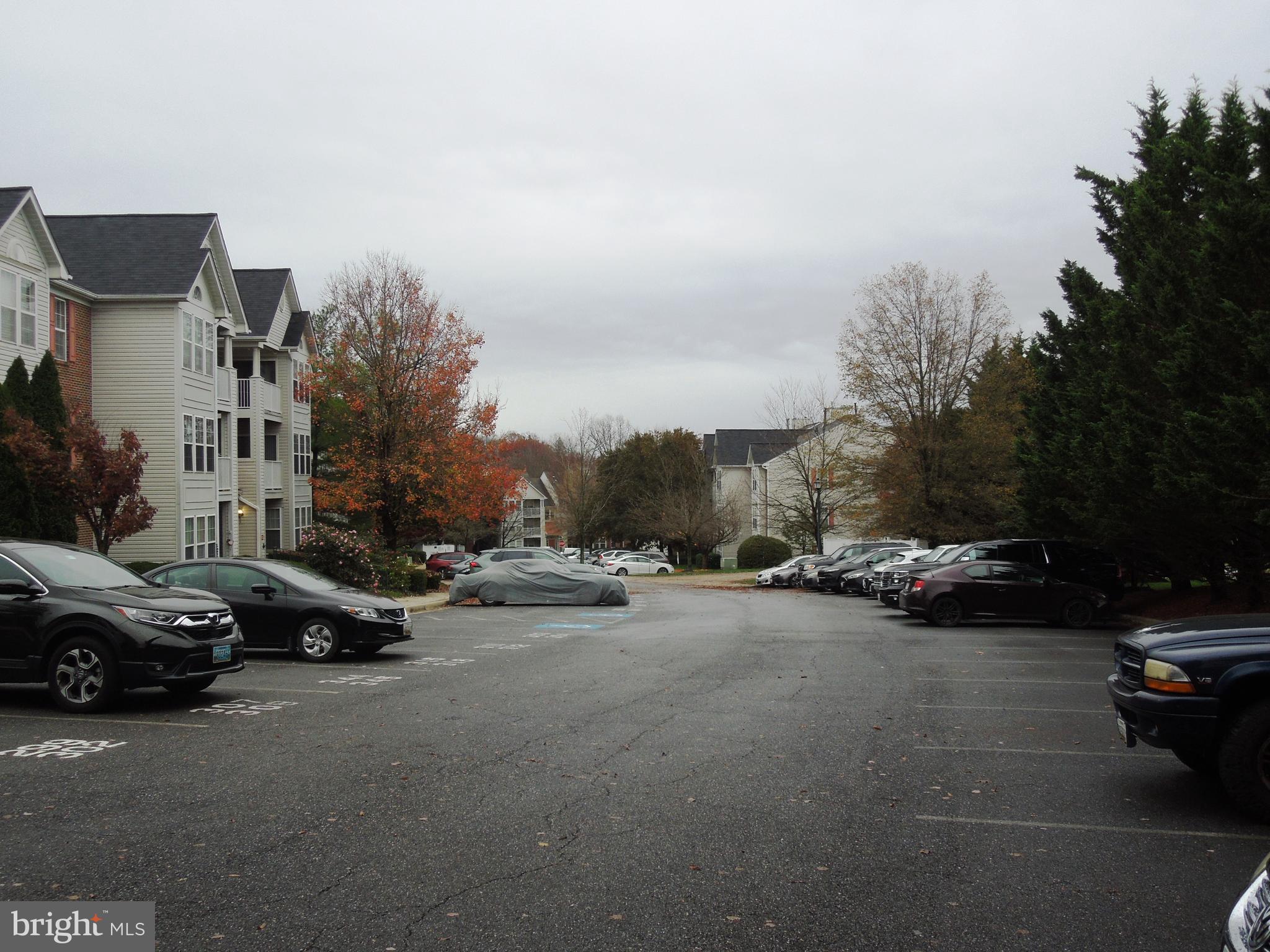 10109 Ridge Manor Terrace, Unit 4000F Damascus, MD 20872 - Photo 8 of 29