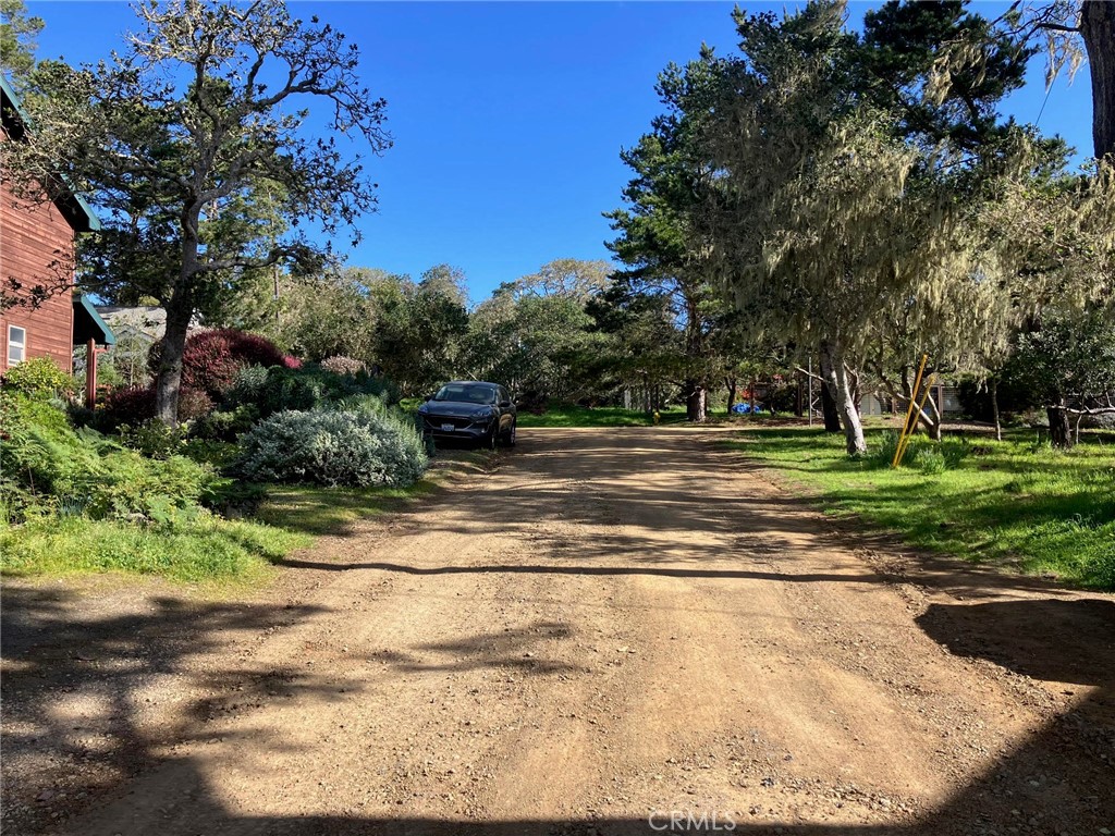 a view of a yard