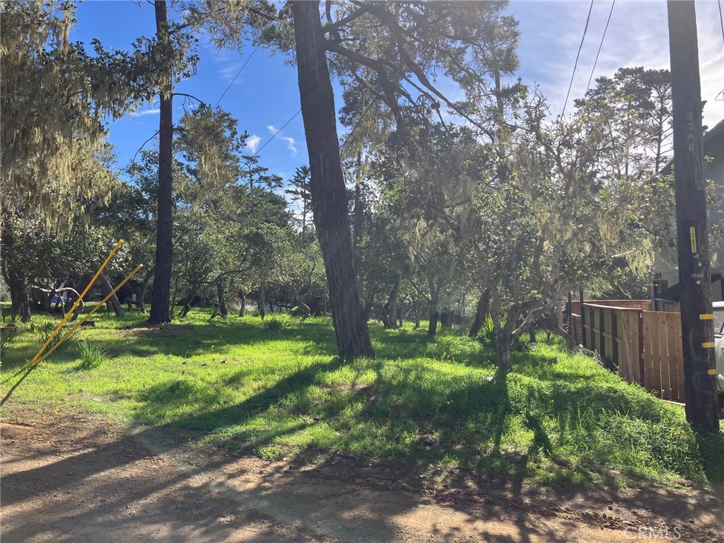 0 Cowper Street Cambria, CA 93428 - Photo 2 of 7 a backyard of a house with a yard and outdoor seating
