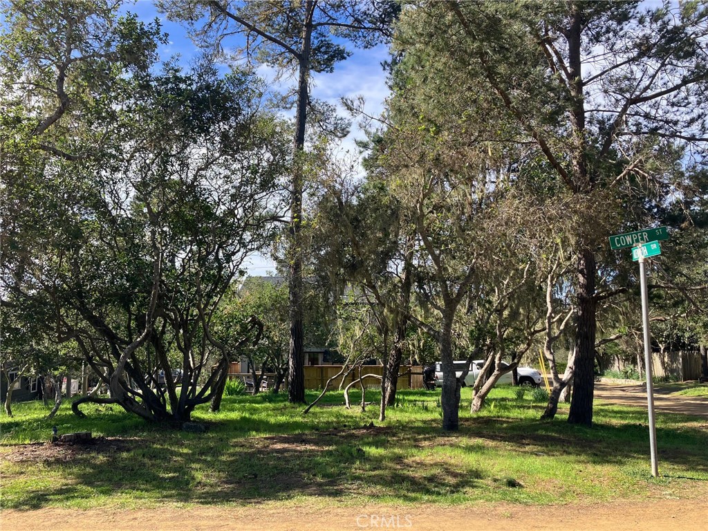 0 Cowper Street Cambria, CA 93428 - Photo 5 of 7 a big yard with large trees