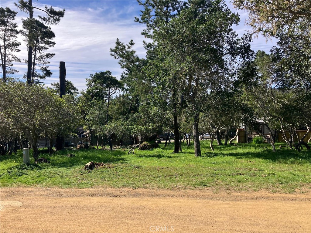 0 Cowper Street Cambria, CA 93428 - Photo 7 of 7 a view of a park with tree s