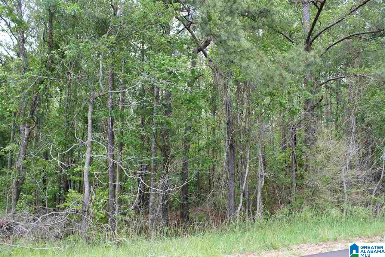 0 County Road 38 Jemison, AL 35085 - Photo 11 of 13