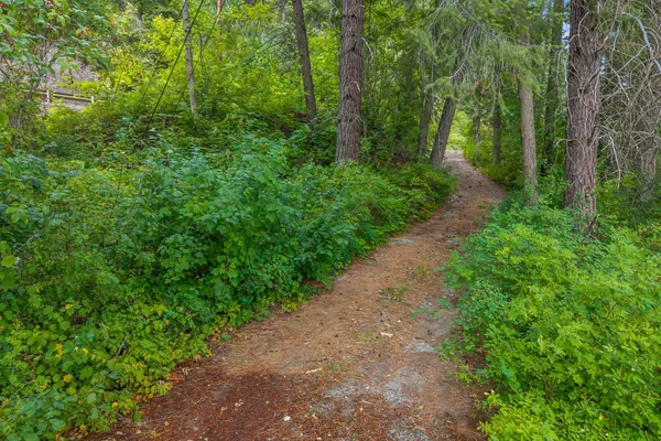 $175,000 | 31 Hwy Metaline Wa 99152 Highway, Metaline, WA 99152