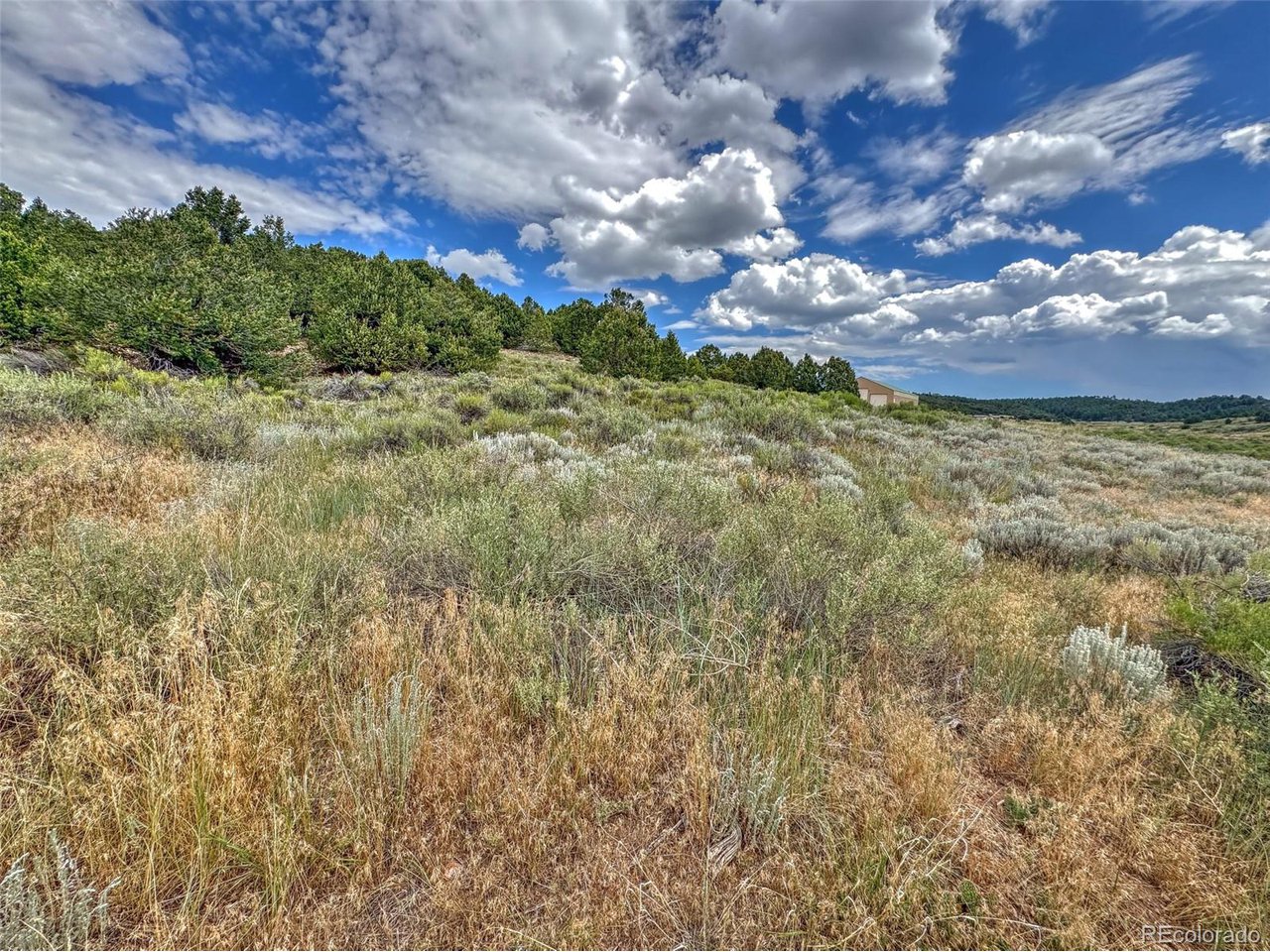 21 Kiowa Road Westcliffe, CO 81252 - Photo 16 of 26