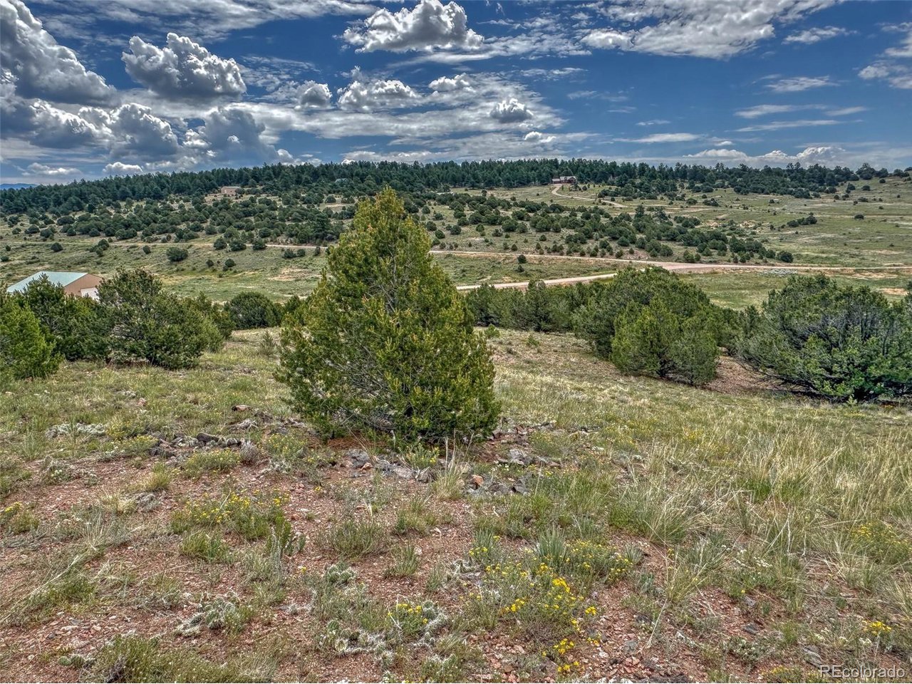 21 Kiowa Road Westcliffe, CO 81252 - Photo 21 of 26