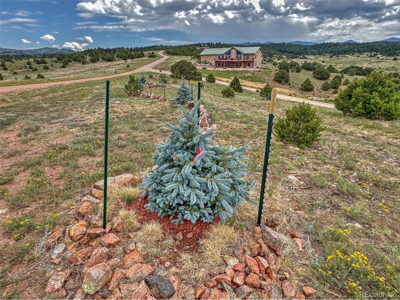 21 Kiowa Road Westcliffe, CO 81252 - Photo 5 of 26