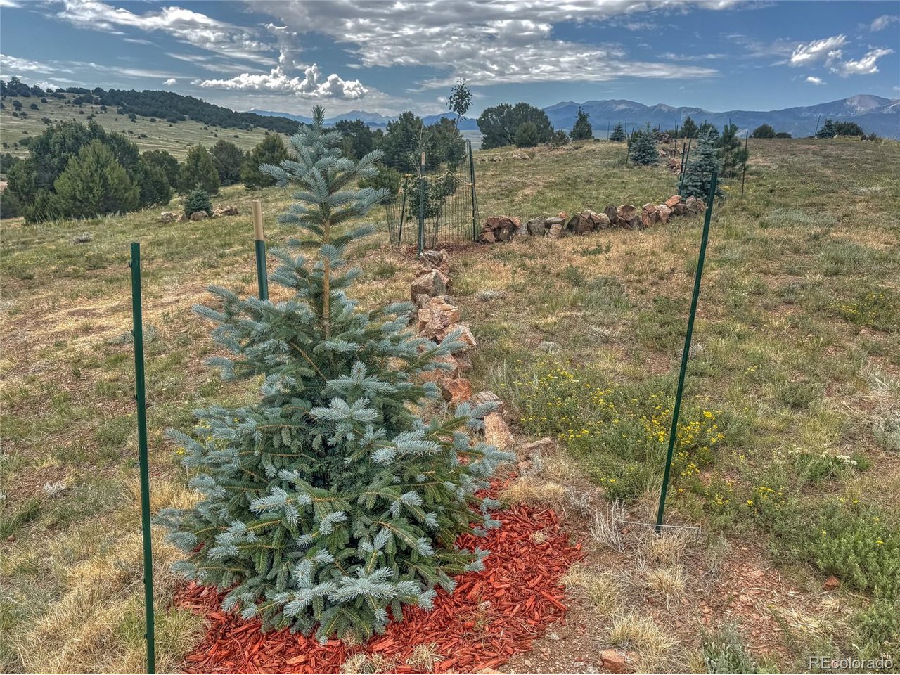 21 Kiowa Road Westcliffe, CO 81252 - Photo 6 of 26