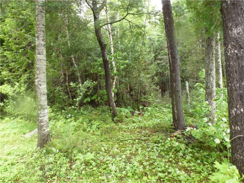 486 Cedar Lk Road Millinocket, ME 04462 - Photo 14 of 35 Land/Lot.