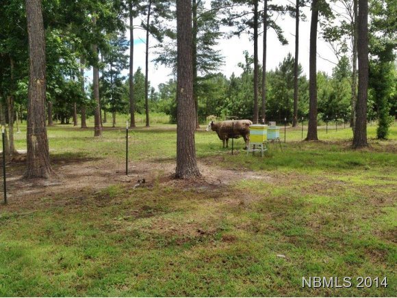 150 Pate Road New Bern, NC 28562 - Photo 5 of 25 Additional Photo