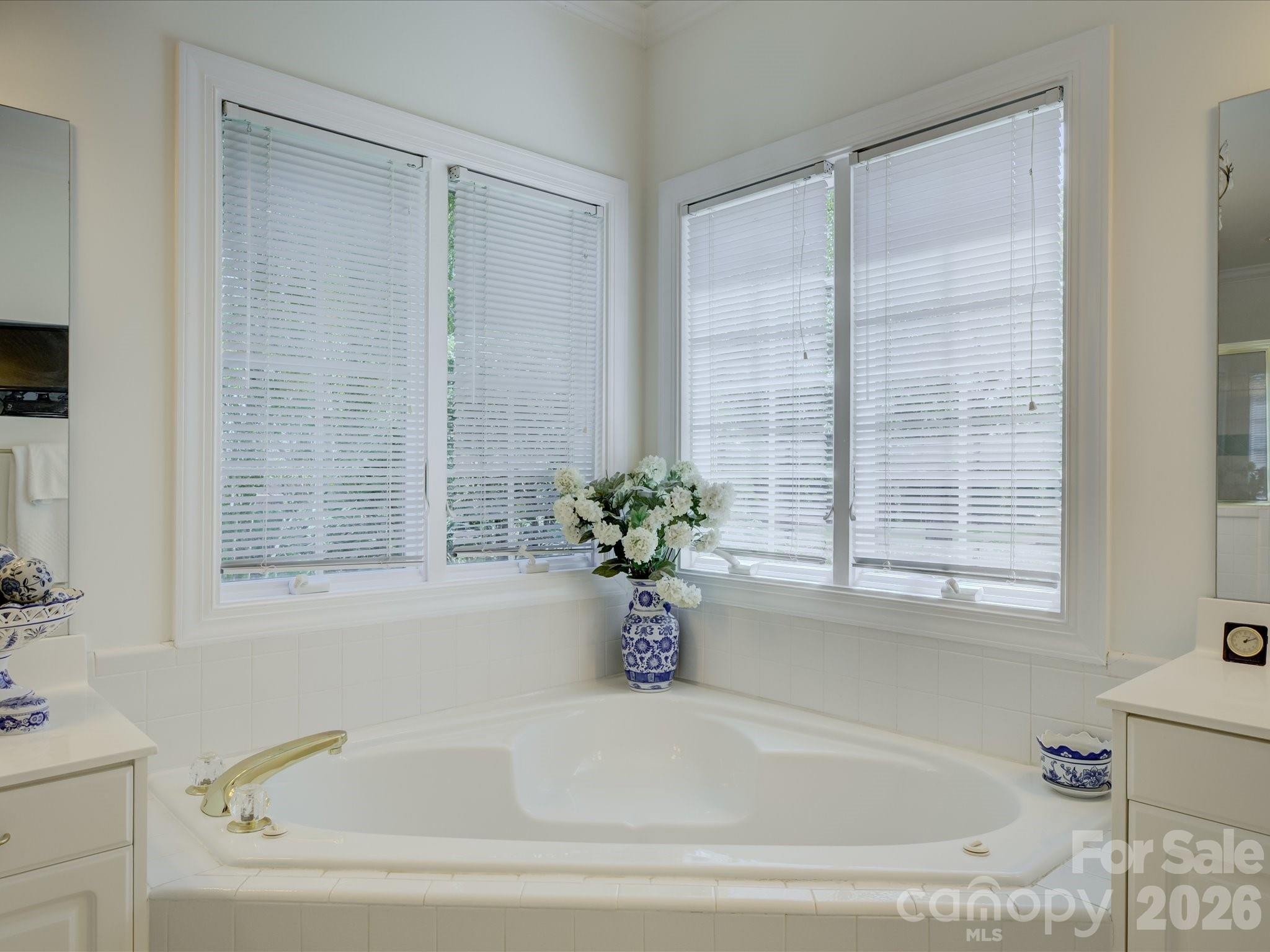 2980 Robinwood Road Gastonia, NC 28054 - Photo 24 of 48 a white bath tub sitting in a bathroom next to a window