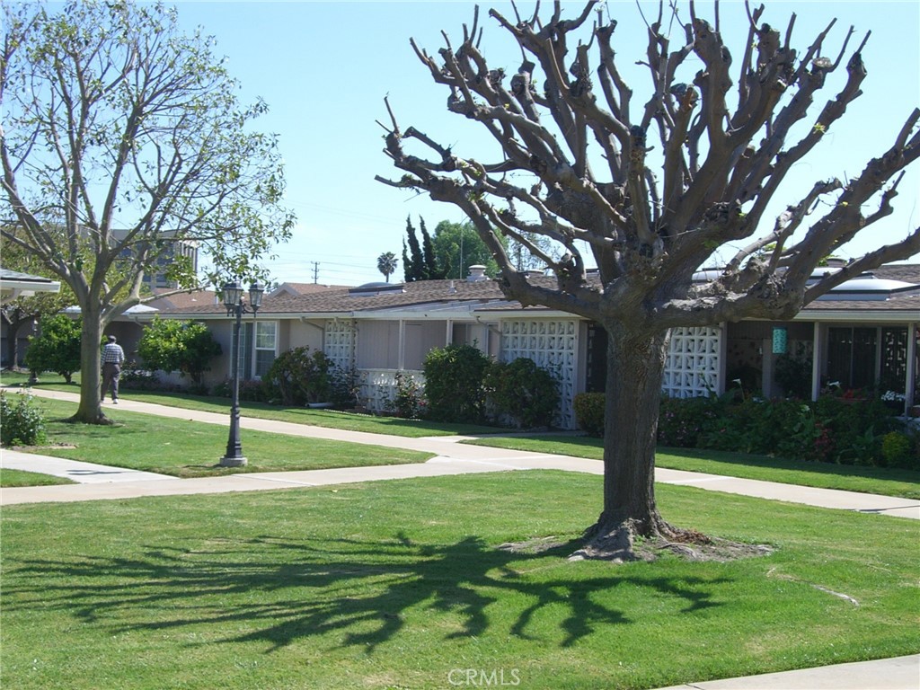 a view of a house with a tree in a yard