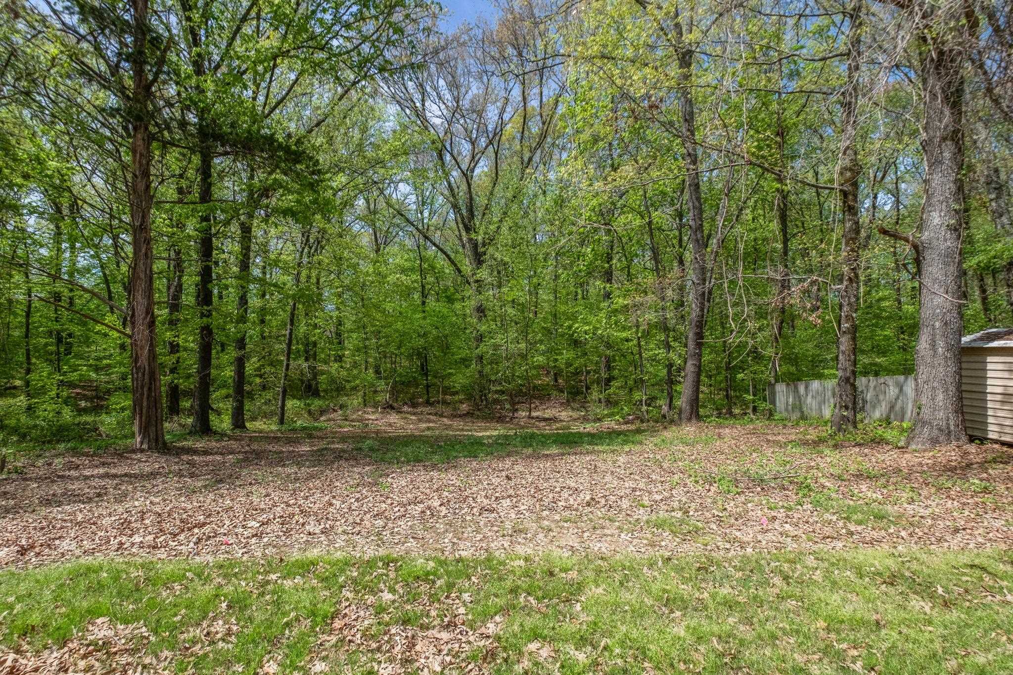 145 Walnut Bend Road Arlington, TN 38002 - Photo 23 of 30 a view of outdoor space with trees