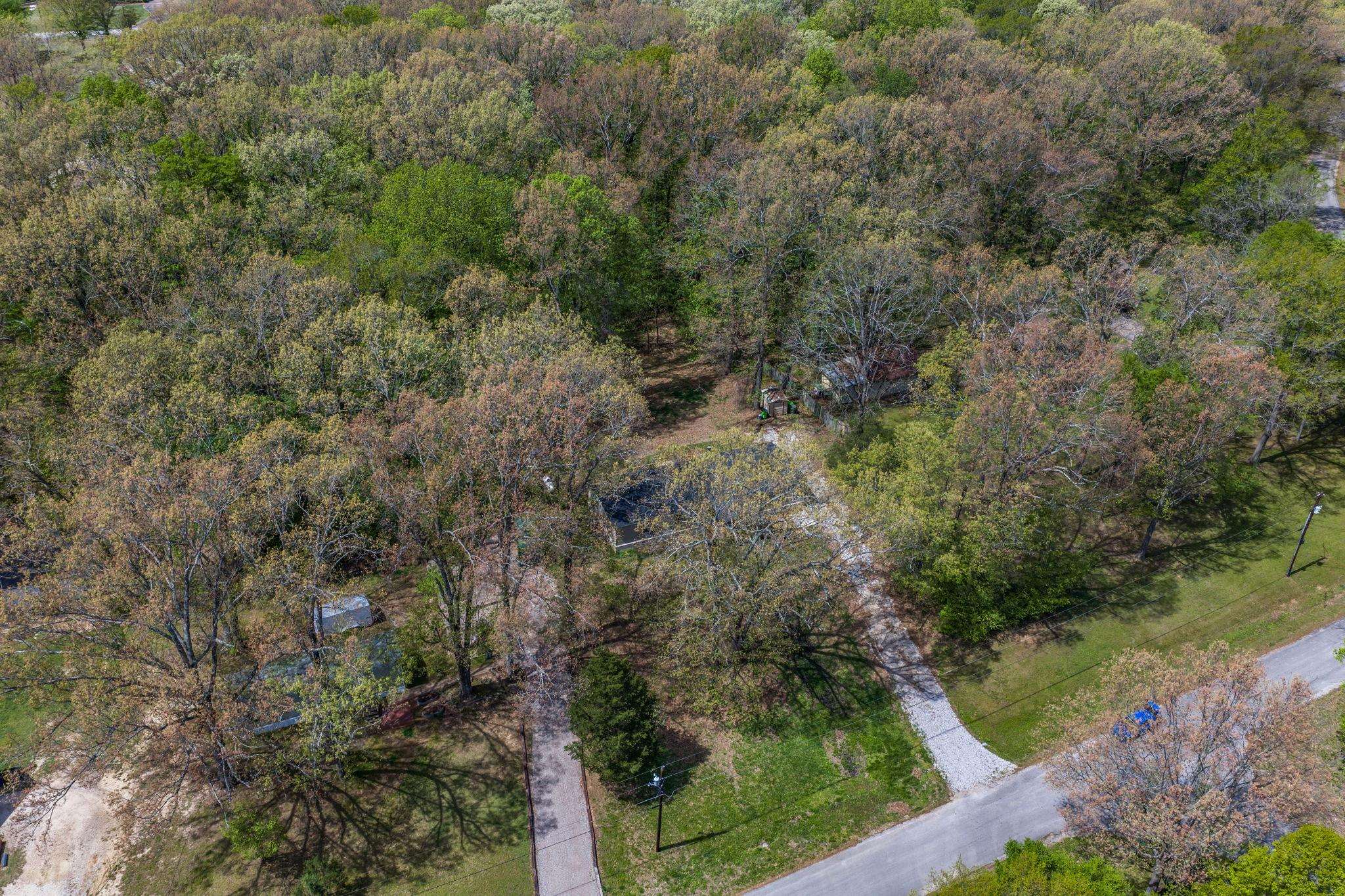 145 Walnut Bend Road Arlington, TN 38002 - Photo 26 of 30 a view of a forest with a tree
