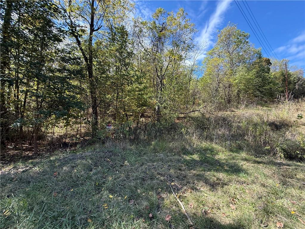 0 Mine Road Waynesburg, PA 15370 - Photo 12 of 18 a view of a forest with trees in the background