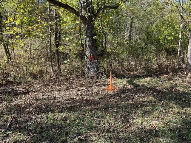 a view of a yard with plants and trees