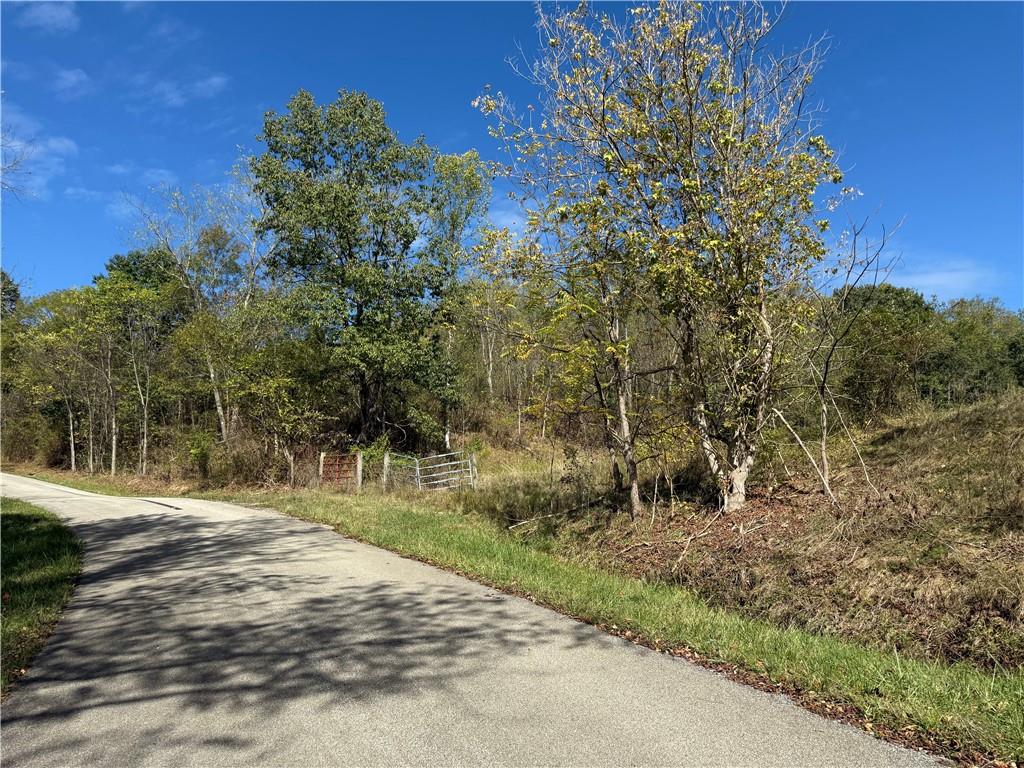 0 Mine Road Waynesburg, PA 15370 - Photo 15 of 18 a view of a yard with plants and trees