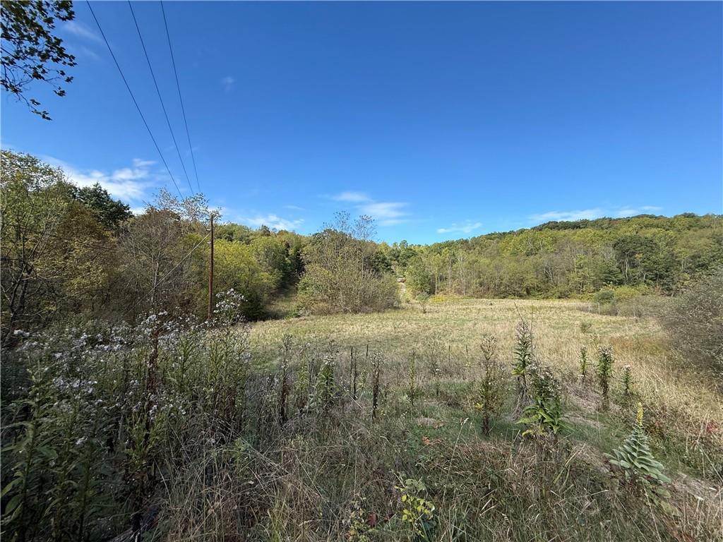 0 Mine Road Waynesburg, PA 15370 - Photo 16 of 18 a view of an outdoor space with mountain view