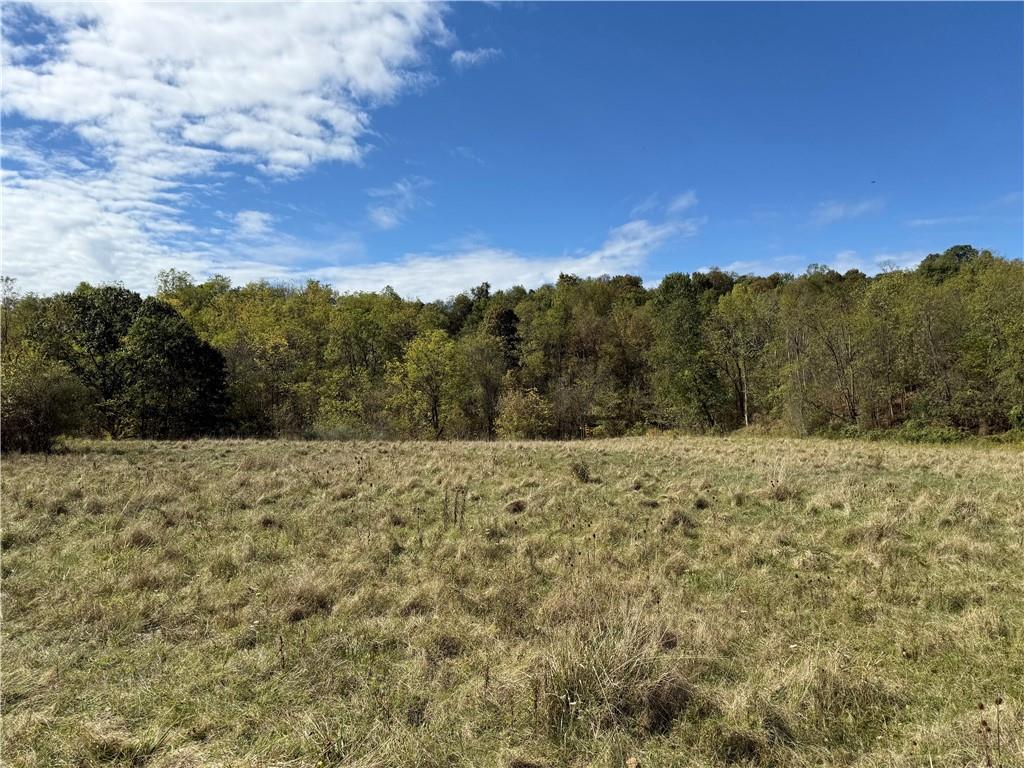 0 Mine Road Waynesburg, PA 15370 - Photo 2 of 18 a view of a dry yard