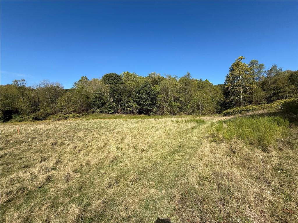 0 Mine Road Waynesburg, PA 15370 - Photo 3 of 18 a view of a yard with a house