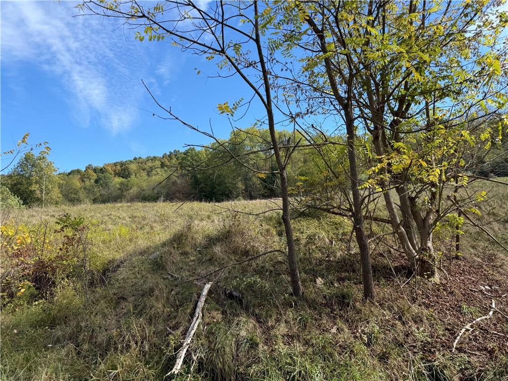 0 Mine Road Waynesburg, PA 15370 - Photo 4 of 18 a view of a yard