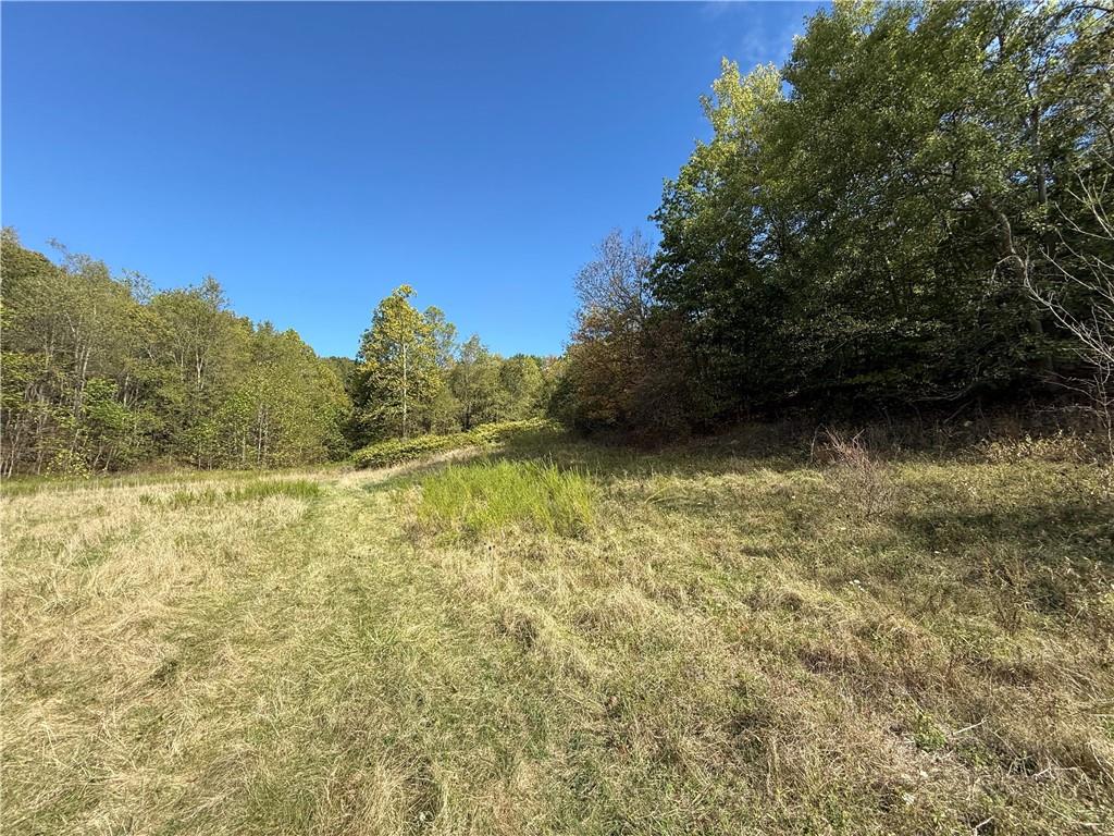 0 Mine Road Waynesburg, PA 15370 - Photo 5 of 18 a view of outdoor space and yard