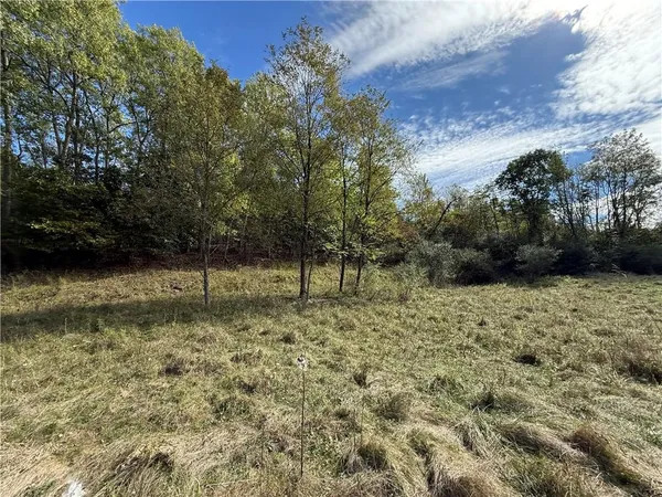 a view of a yard with trees