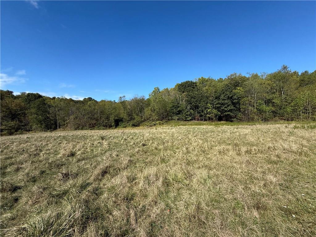 0 Mine Road Waynesburg, PA 15370 - Photo 9 of 18