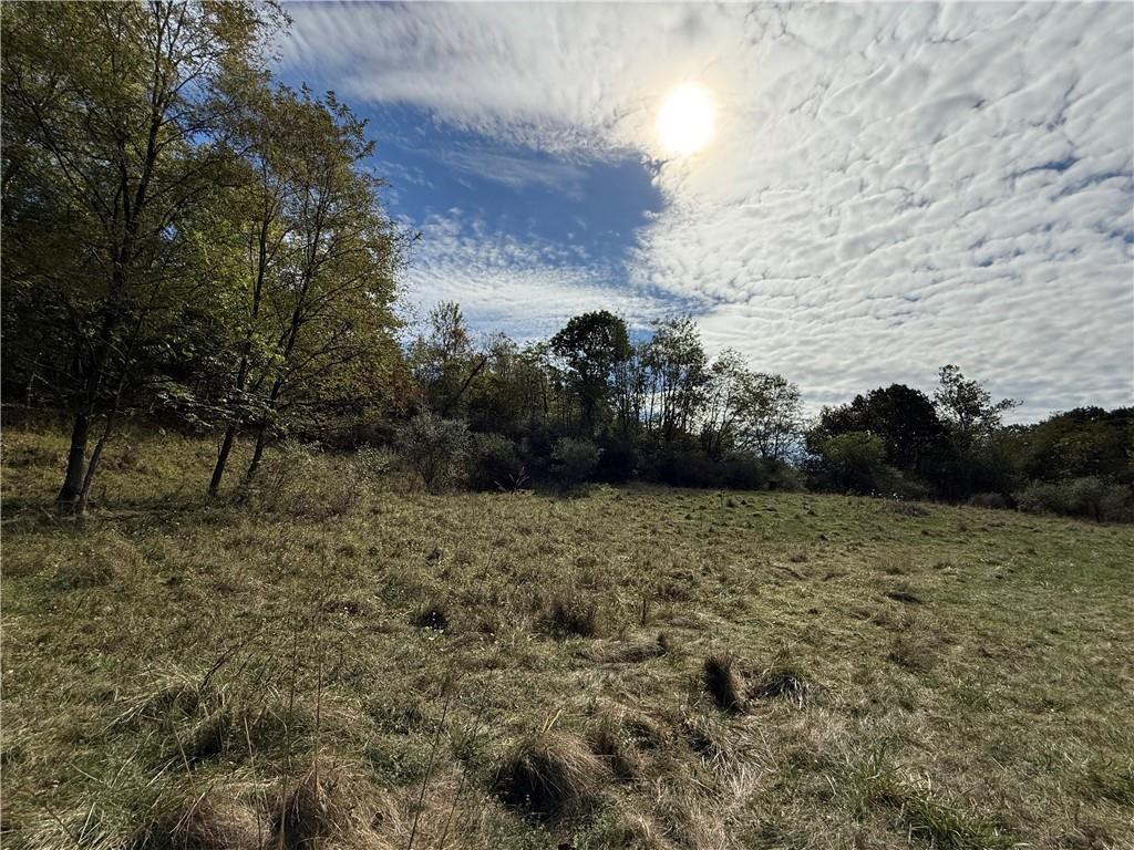 0 Mine Road Waynesburg, PA 15370 - Photo 10 of 18 a view of a yard